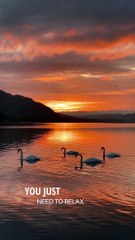 Perfect mornings in the Lake District 