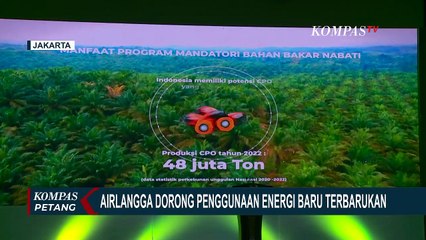Airlangga Dukung Penggunaan Energi Baru Terbarukan: Dapat Hemat Devisa Negara 10,75 Miliar Dollar AS