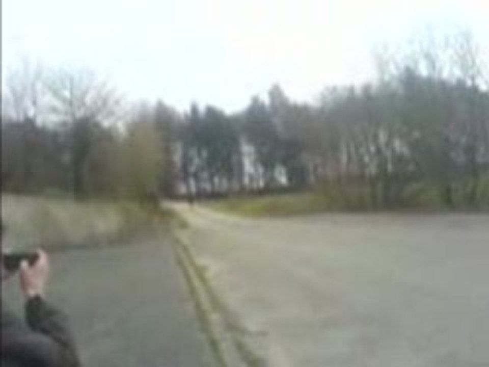 Polini lionel
