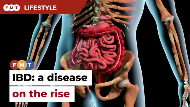 Understanding inflammatory bowel disease