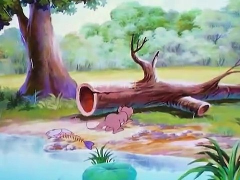 ROI LION SIMBA Épisode 28 - LE MANTEAU MAGIQUE | SIMBA dessin animé complet en francais