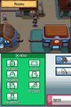 Pokémon Version Or HeartGold online multiplayer - nds