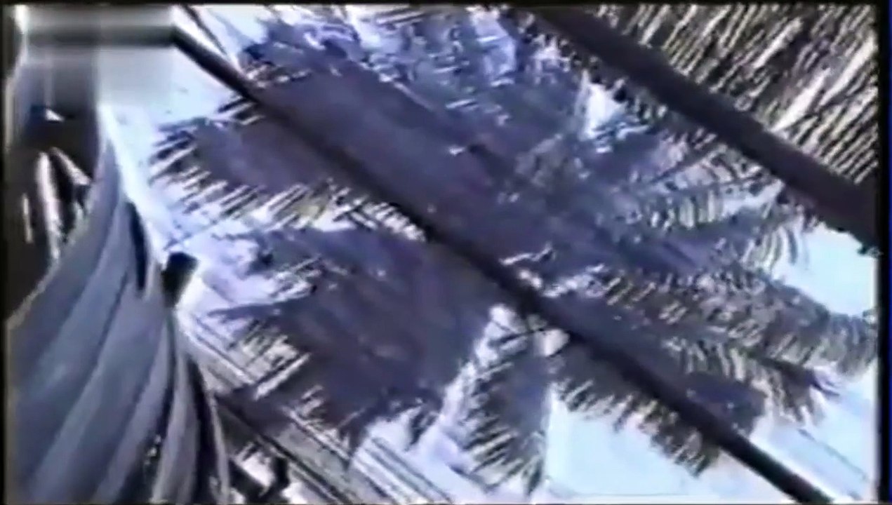 Jardín Las Palmas - Publicidad uruguaya (1996)