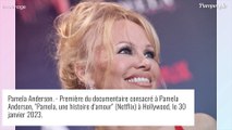Pamela Anderson : Violée par sept hommes et sa nounou, elle revient en détail sur ces drames atroces