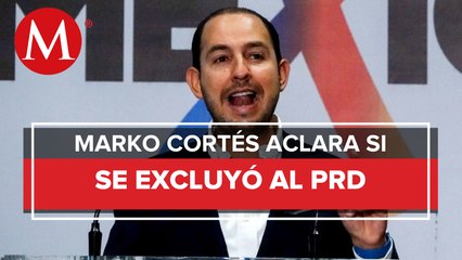 Juntos, pero en selección de consejeros del INE: Marko Cortés