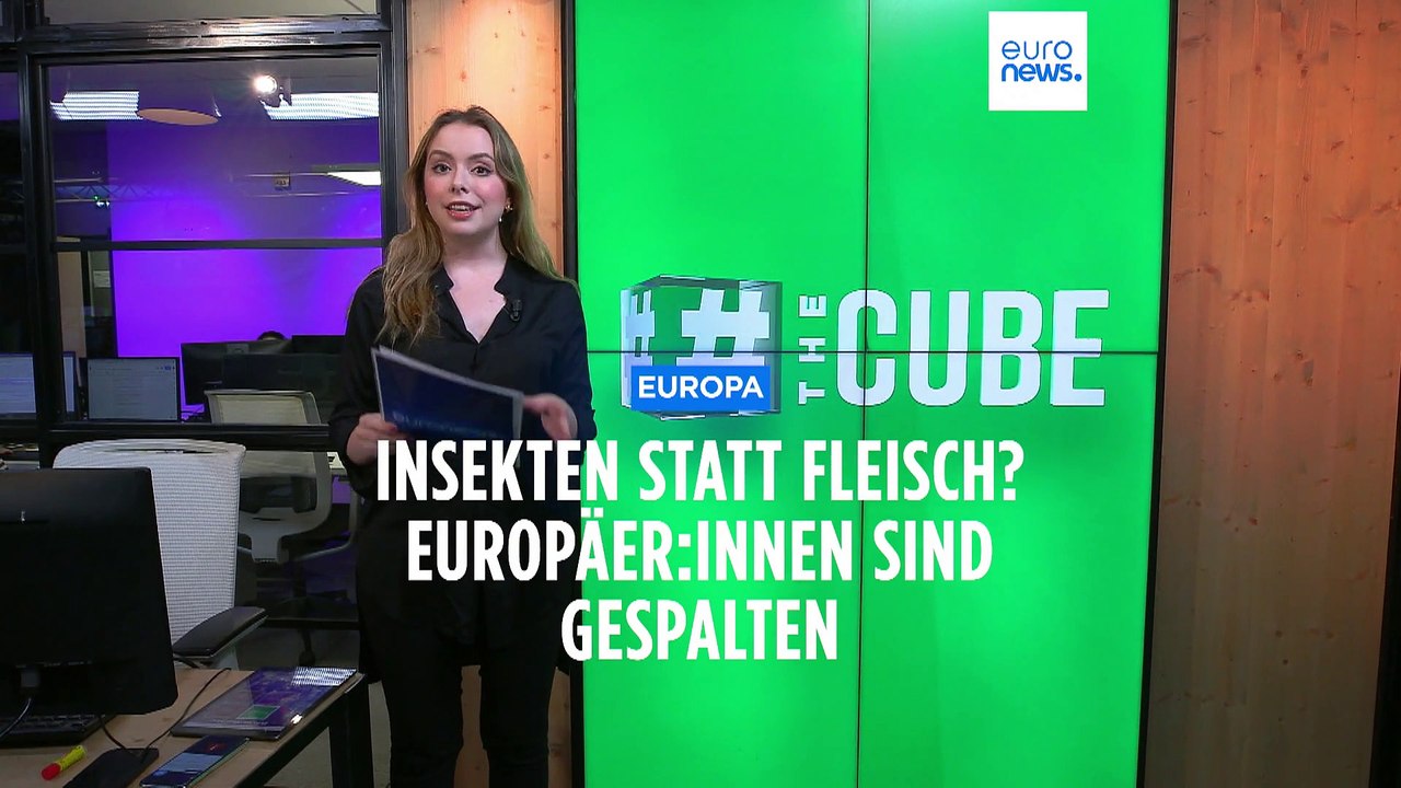 Insekten statt Fleisch? Europäer:innen sind gespalten