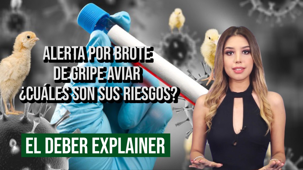  Alerta por brote de gripe aviar ¿cuáles son sus riesgos?