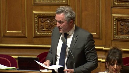 IVG dans la Constitution : incident au Sénat