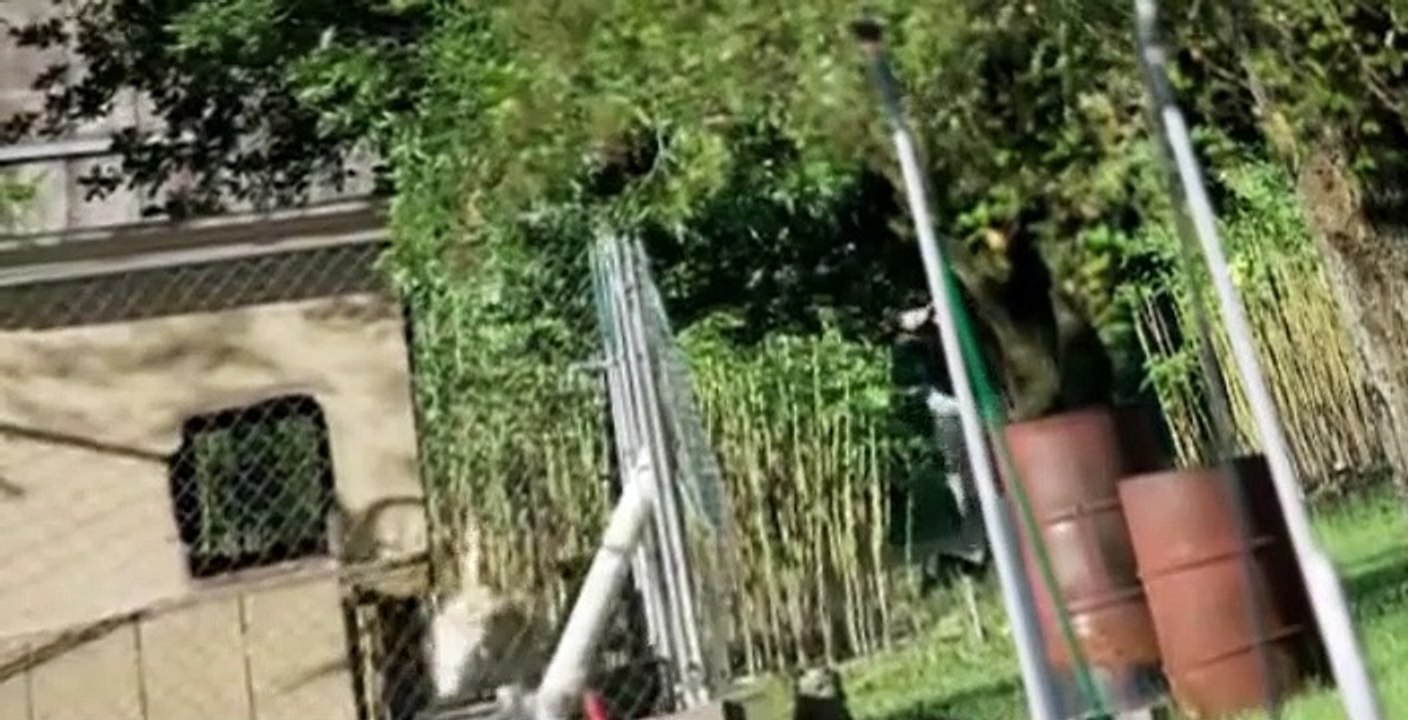 Killing Fields S02 E05