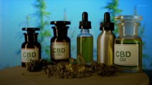 Hong Kong Bans CBD, Claims It’s a ‘Dangerous Drug’