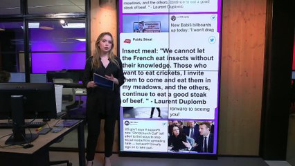 #Cube: согласны ли вы променять мясо на насекомых?