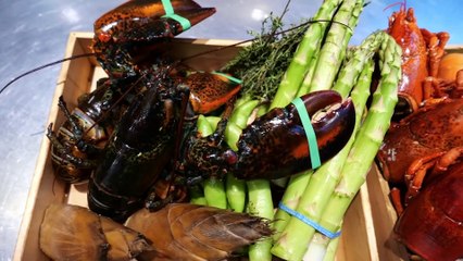 Japanese Food - LOBSTER BLACK RICE Mifune New York City Seafood NYC