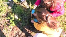 Mais de 100 alunos plantam 600 carvalhos no Parque das Serras do Porto