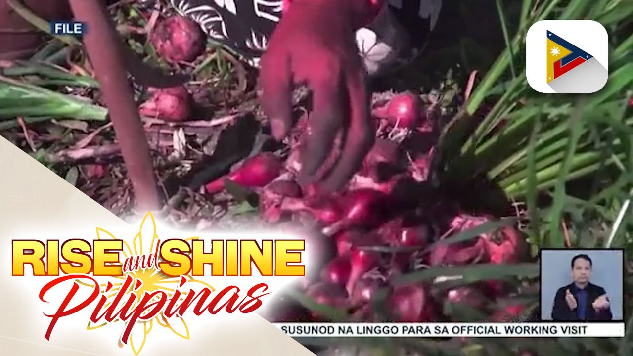 Pagtatayo ng Philippine Onion Research Institute, isinusulong sa Kongreso; BPI: May mga hakbang ang gobyerno para matugunan ang isyu sa sibuyas
