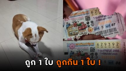 หนุ่มถูกลอตเตอรี่ 2 ใบ แต่งานนี้ช็อตฟีลหนัก.. รู้ตัวอีกที เหลือแค่นี้ !?