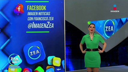 Construyen refugio a perritos con estructuraa reciclables en Tailandia