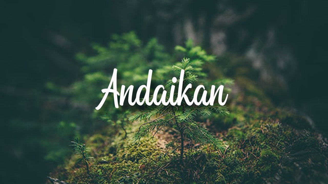 Andaikan - Sevi Xiu (Cover by Rudi Mulyadi Lyric)