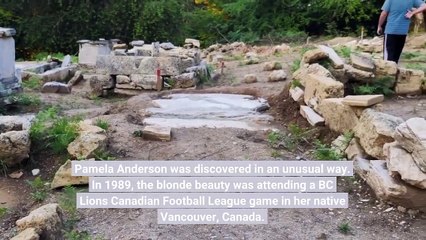 Pamela Anderson's Net Worth Revealed—Including How Much She Really Made