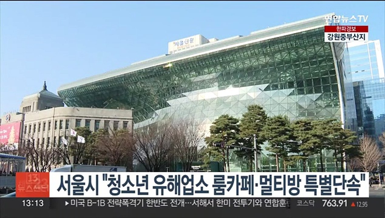 서울시 "청소년 유해업소 룸카페·멀티방 특별단속"