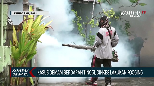 Kasus Demam Berdarah Tinggi, Dinkes Lakukan Fogging