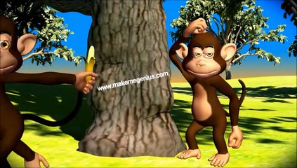 Skeletal System Functions for kids