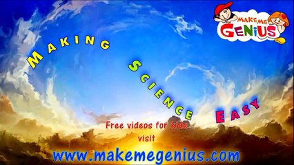 Viruses Movie for Kids Simplified Introduction Ks3 Ks4