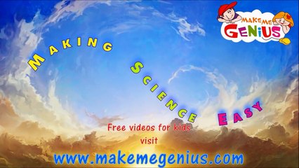 What happens inside the stomach - for Kids