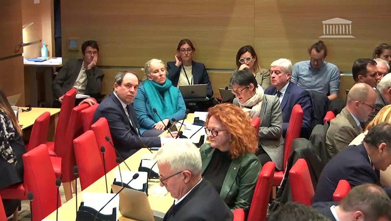 Commission du développement durable : Rôle des institutions financières publiques en faveur de la biodiversité - Mercredi 1 février 2023