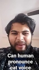 y2mate.com - can human pronounce cat voice_v144P