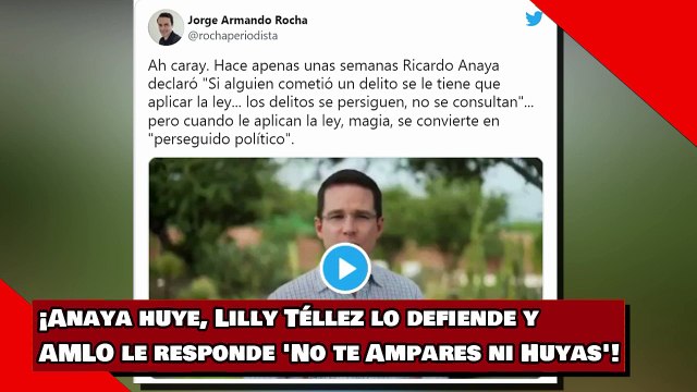 ¡Anaya huye, Lilly Téllez lo defiende y AMLO le responde 'No te Ampares ni Huyas'!