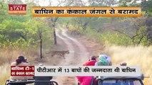 Madhya Pradesh News : Panna टाइगर रिजर्व की बाघिन टी-1 का 10 दिन पुराना कंकाल बरामद |