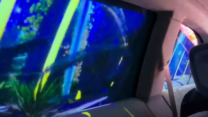 World's First Color Changing Car !