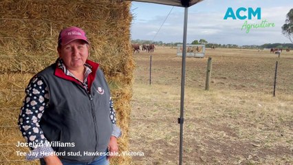 Stock & Land Beef Week day seven
