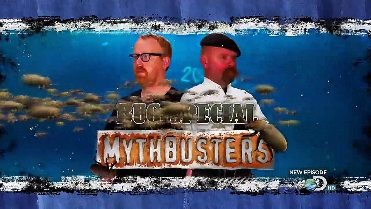 MythBusters - Se8 - Ep19 HD Watch