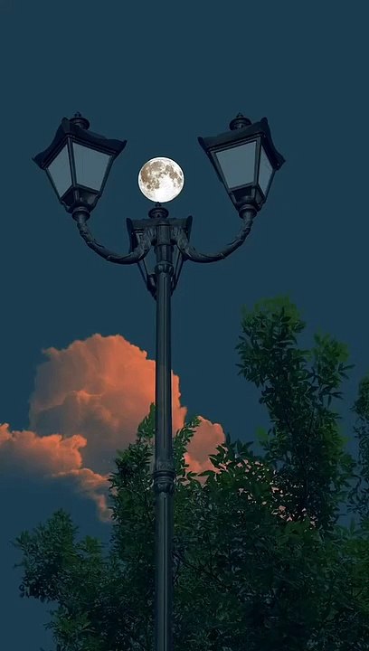 Moon I Moon Night I Night