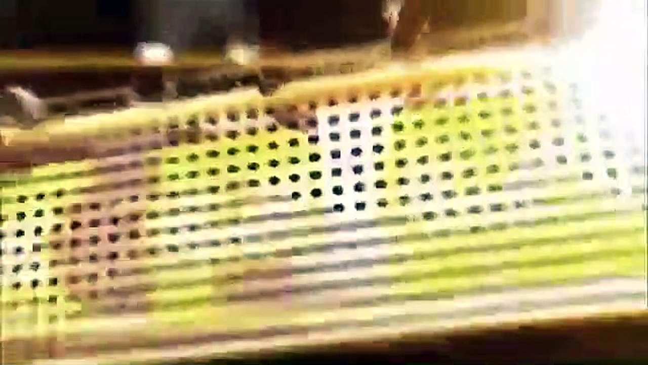 Celebrity Name Game - Se2 - Ep41 HD Watch