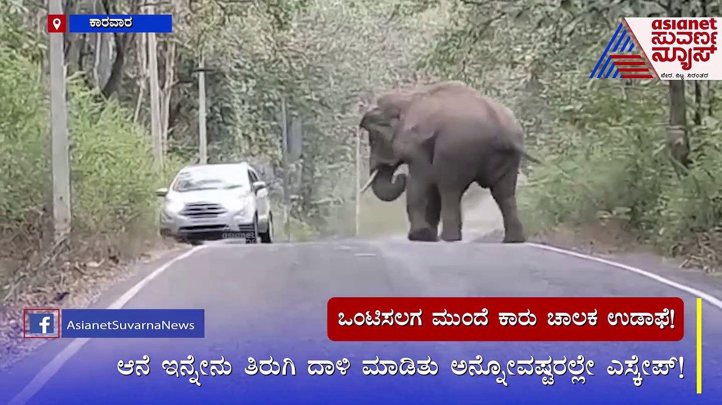 ಜನರ ಪ್ರಾಣದ ಜತೆ ಕಾರು ಚಾಲಕನ ಚೆಲ್ಲಾಟ: ಒಂಟಿ ಸಲಗದಿಂದ ಕೂದಲೆಳೆ ಅಂತರದಲ್ಲಿ ಬಚಾವ್ 