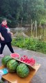 A story of free watermelon  _ part-2 _ #shorts #comedy #funnyvideo