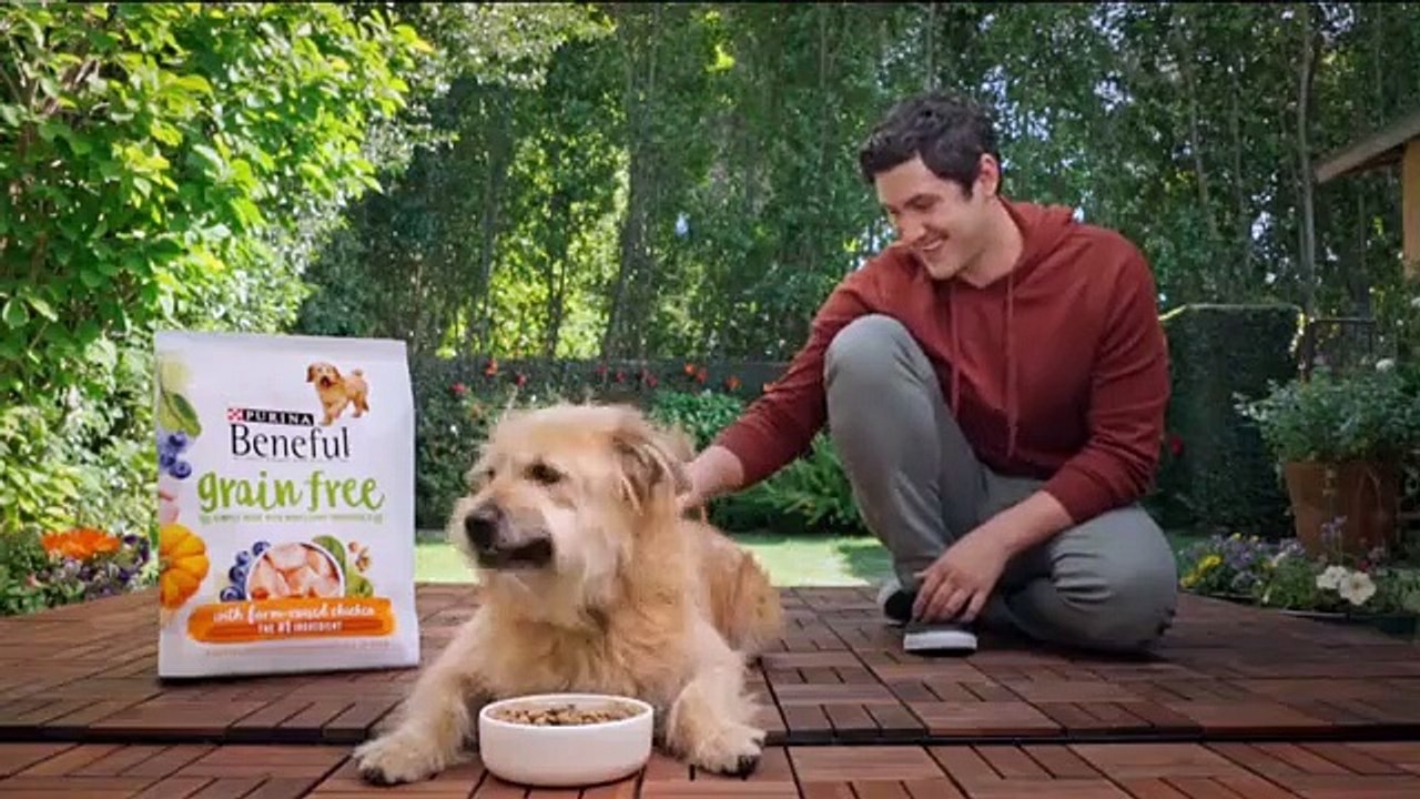 The Good Witch (2015) - Se3 - Ep05 - A Birthday Wish HD Watch