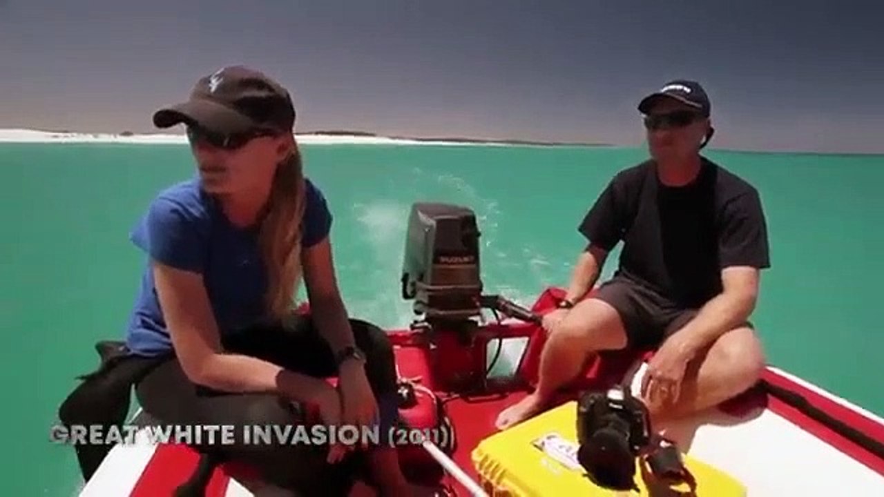 Shark Week - Se33 - Ep13 - Air Jaws 2020 HD Watch