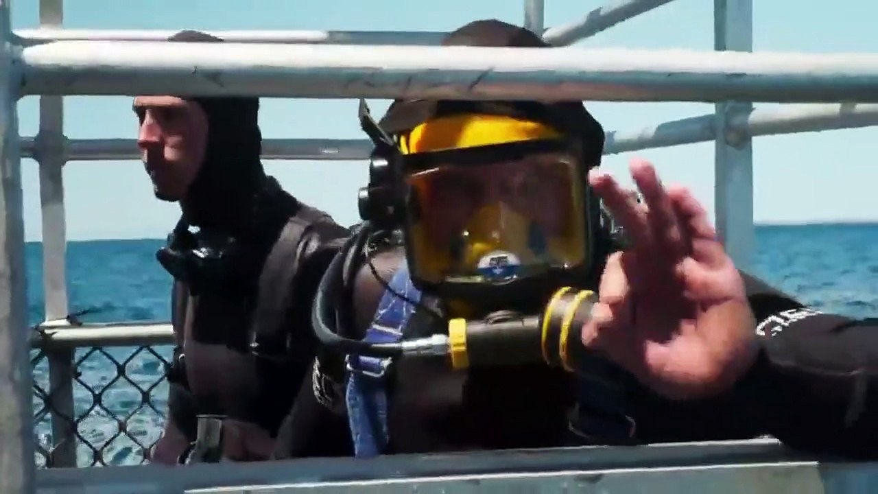 Shark Week - Se33 - Ep12 - Great White Double Trouble HD Watch