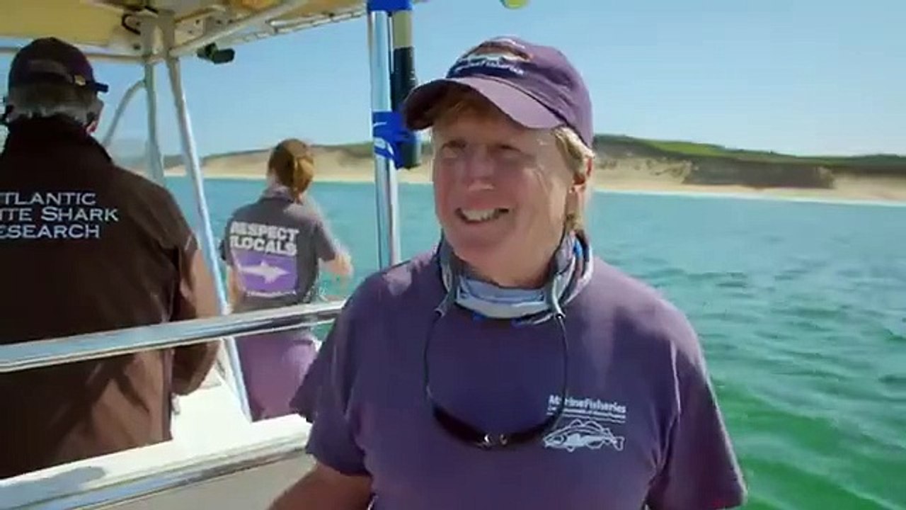 Shark Week - Se33 - Ep21 - Wicked Sharks HD Watch