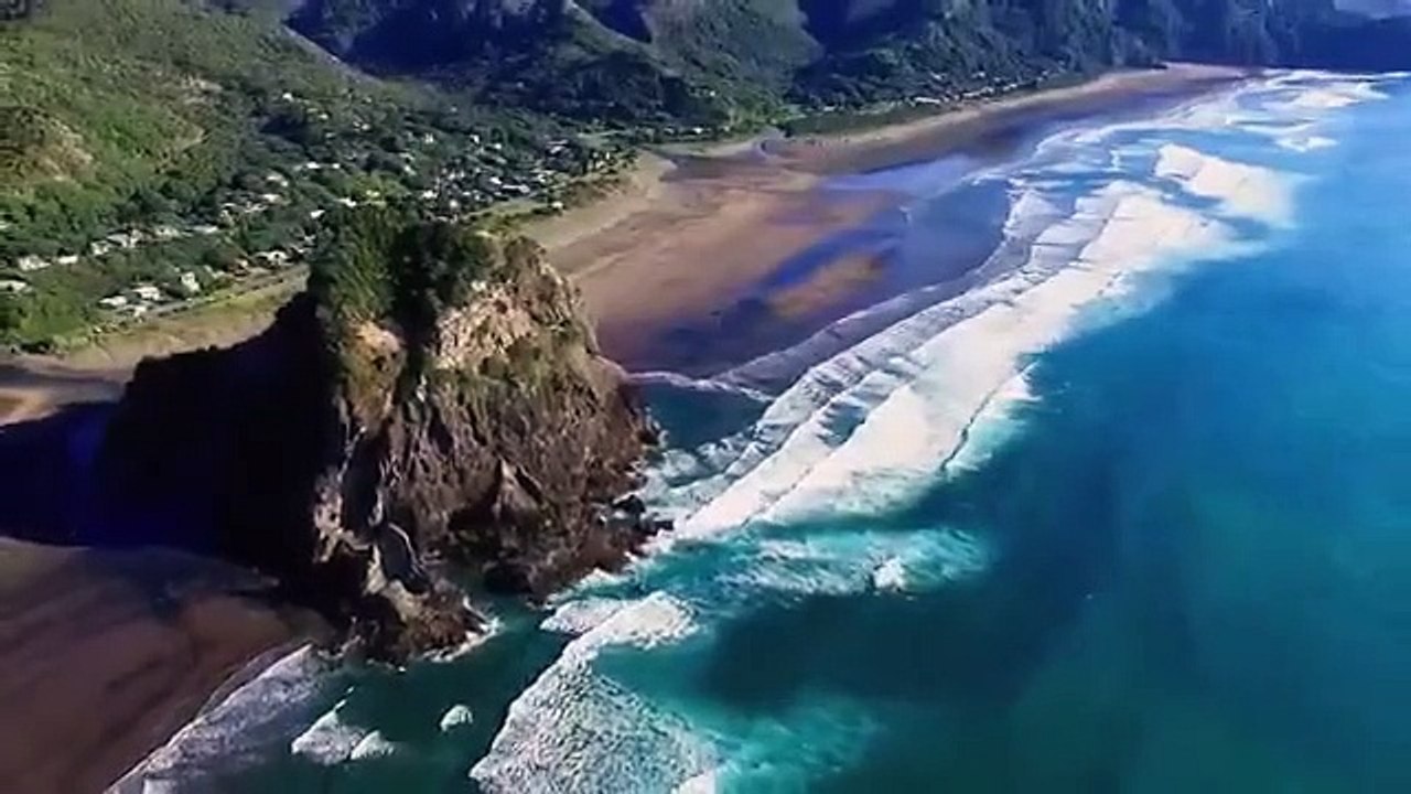 Shark Week - Se33 - Ep22 - Sharks Gone Wild 3 HD Watch