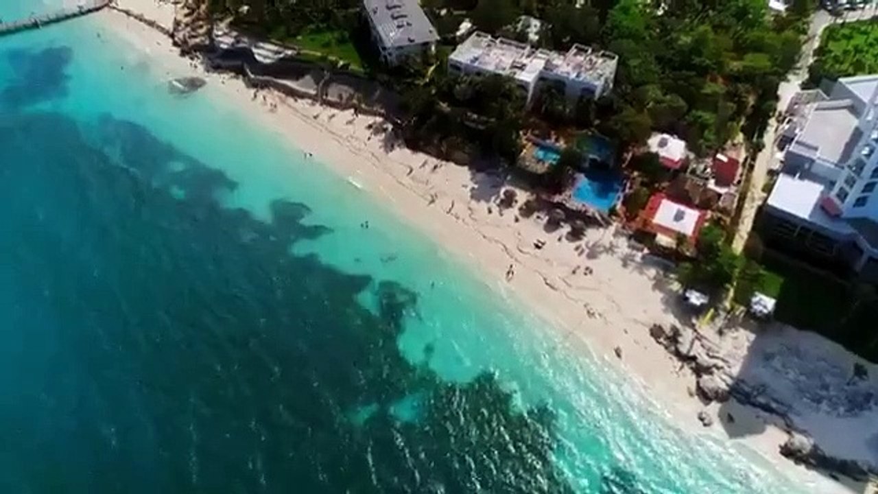 Shark Week - Se33 - Ep23 - I Was Prey - Trrs from the Deep HD Watch