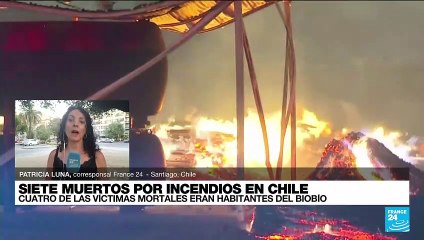 Informe desde Santiago de Chile: ola de calor, principal desencadenante de las conflagraciones