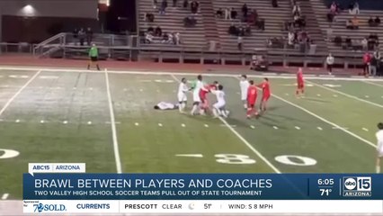 Brawl between two Valley high school soccer teams