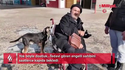 Tedavi gören engelli sahibini saatlerce kapıda bekledi
