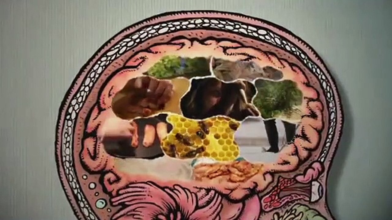 The Mind Of A Chef- Se3 - Ep09 HD Watch