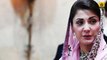 Maryam Nawaz Sharif Exposed In Plane On Reaching Pakistan From London __ Daily Siasat