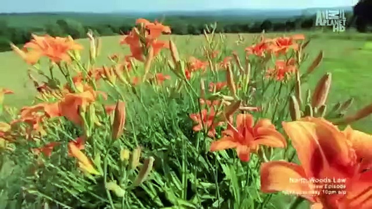 North Woods Law - Se3 - Ep02 HD Watch